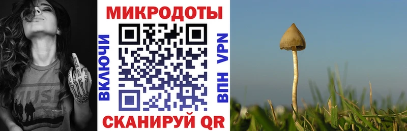 Купить где  Крым  Псилоцибиновые грибы MAGIC MUSHROOMS 